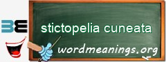 WordMeaning blackboard for stictopelia cuneata